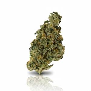 Core Saxonia x 28,0% THC | Demecan