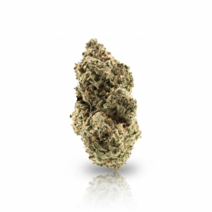 Critical 47 x 24,0% THC | Demecan