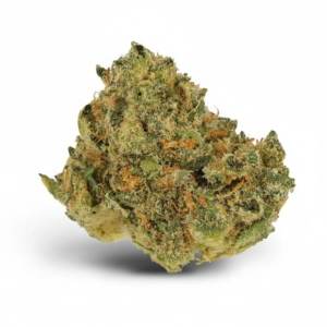 Critical Bilbo x 20,0% THC | Cannamedical