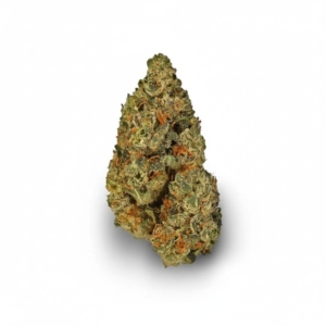 Critical Kush x 23,0% THC | Avaay