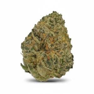 Duke x 23,0% THC | Cannamedical