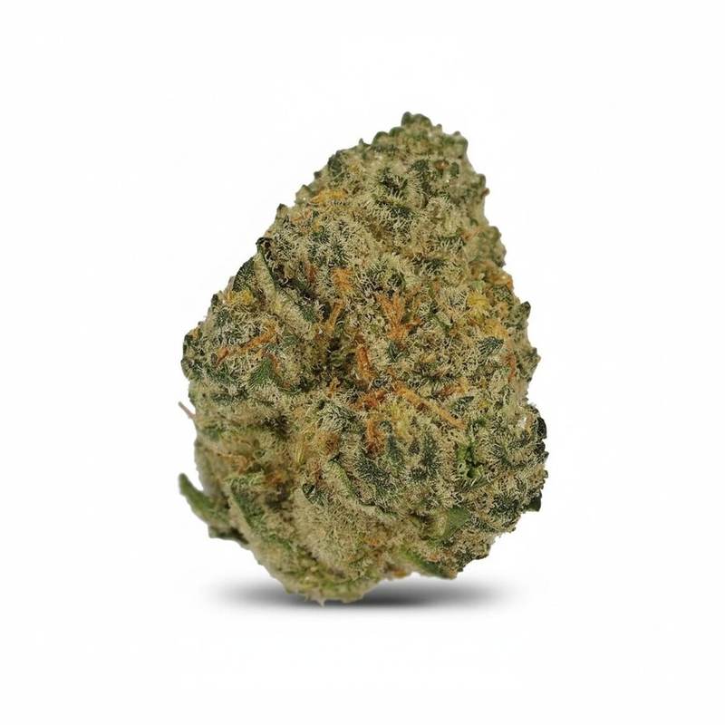 Duke x 23,0% THC | Cannamedical