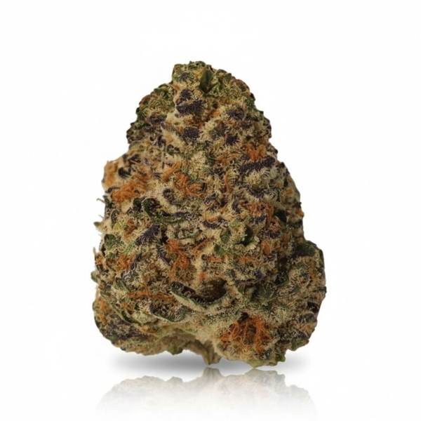 El Jefe