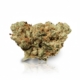 Fast Orange x 17,6% THC | Cannamedical