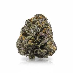 Fight Club x 36,0% THC | Remexian Pharma