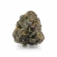 Fight Club x 36,0% THC | Remexian Pharma