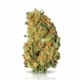 First Class Funk x 31,0% THC | Demecan