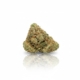 Frosted Gumbo x 30,0% THC | Four 20 Pharma