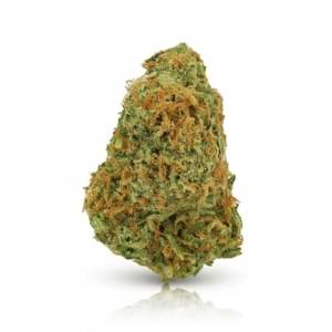 Gelato Dream x 20,0% THC | Cannamedical