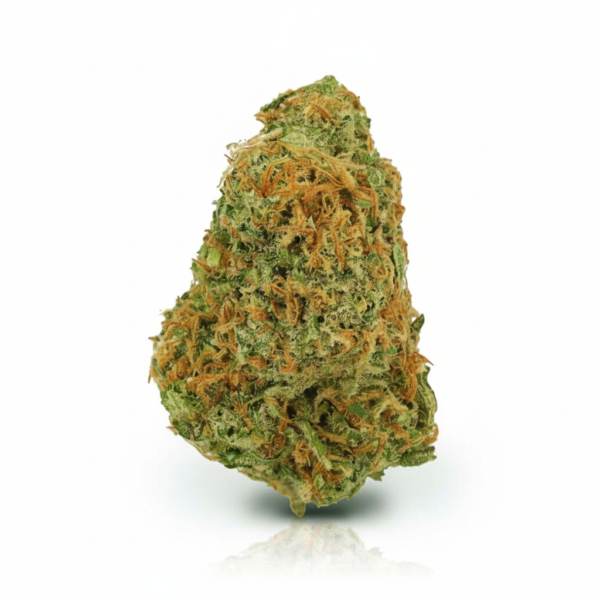 Gelato Dream
