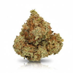 Ghost Train Haze x 24,0% THC | Cannamedical