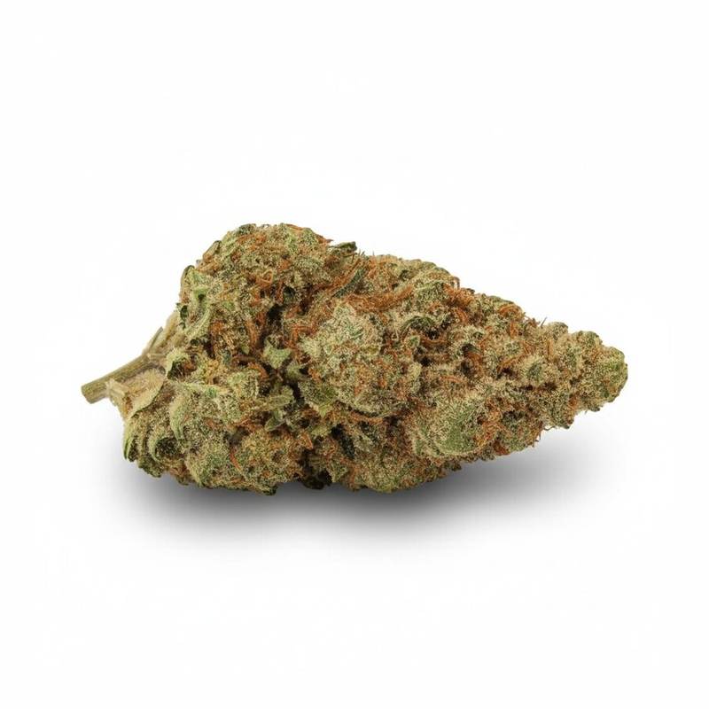 Ghost Train Haze x 24,0% THC | Cannamedical – Bild 2
