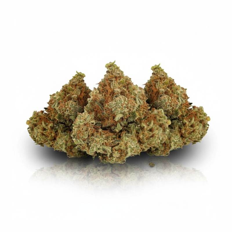 Ghost Train Haze x 24,0% THC | Cannamedical – Bild 3