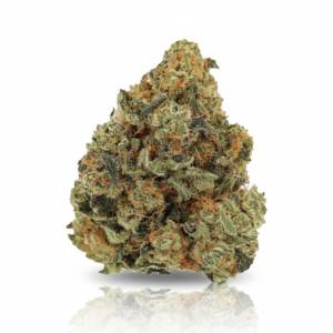 Girl Scout Cookies x 20,0% THC | LUANA
