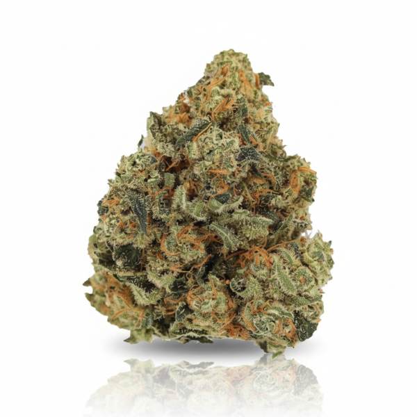 Girl Scout Cookies