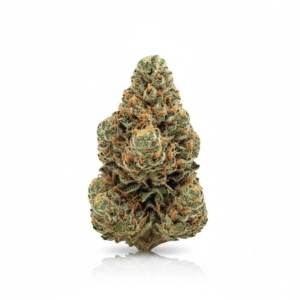 GMO (Garlic Cookies) x 22,0% THC | Four 20 Pharma