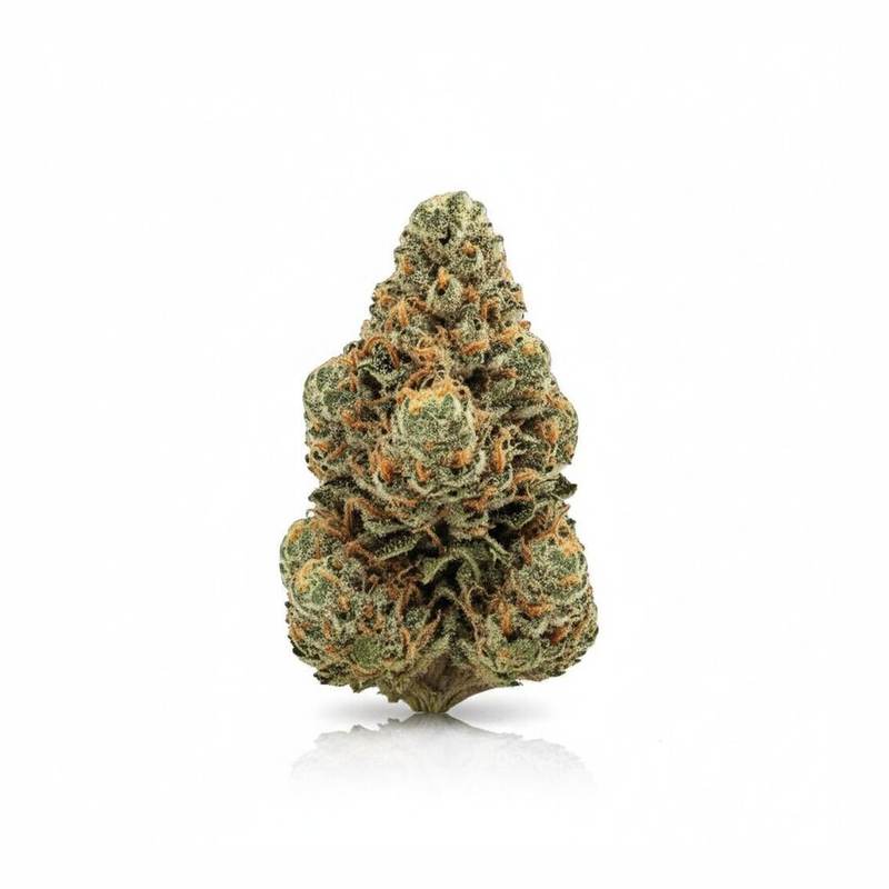 GMO (Garlic Cookies) x 22,0% THC | Four 20 Pharma
