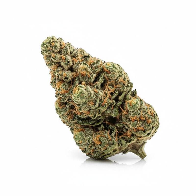 GMO (Garlic Cookies) x 22,0% THC | Four 20 Pharma – Bild 2