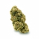 Golden Goat x 31,0% THC | Demecan
