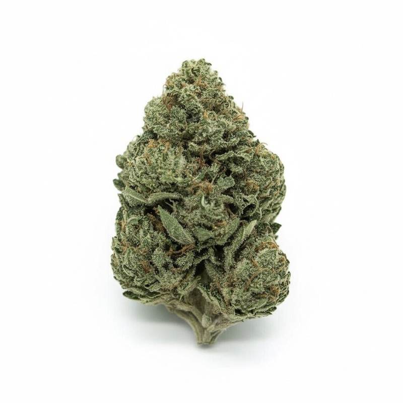 Goofiez x 24,0% THC | Cannamedical – Bild 2