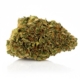 Gorilla Glue #4 x 20,0% THC | Cannamedical