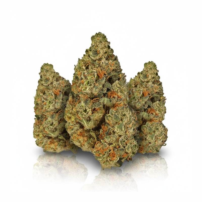 Grape LA x 21,9% THC | LUANA – Bild 3