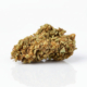 Hippie Kush x 24,0% THC | LUANA