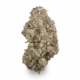 Jack Flash 5 x 26,0% THC | ADREXpharma