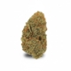 Jack Herer 24%