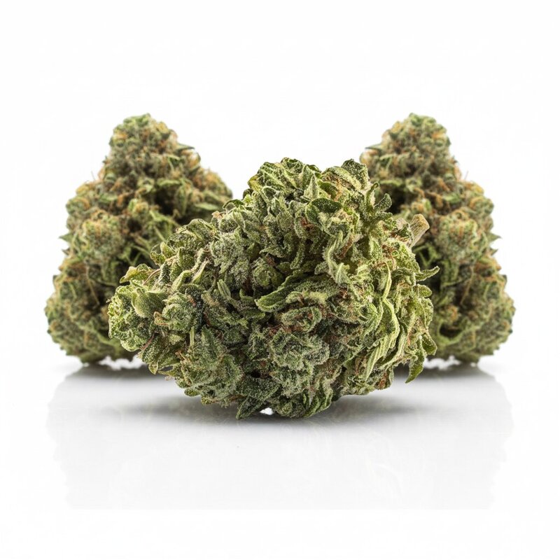 Kush Mintz x 24,0% THC | Sinceritas – Bild 3