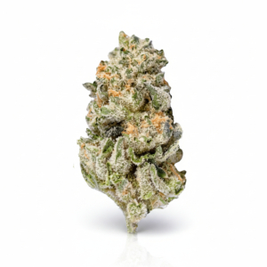 LA Baker x 33,0% THC | Remexian Pharma