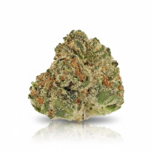 Legendary Larry x 24,0% THC | Cannamedical