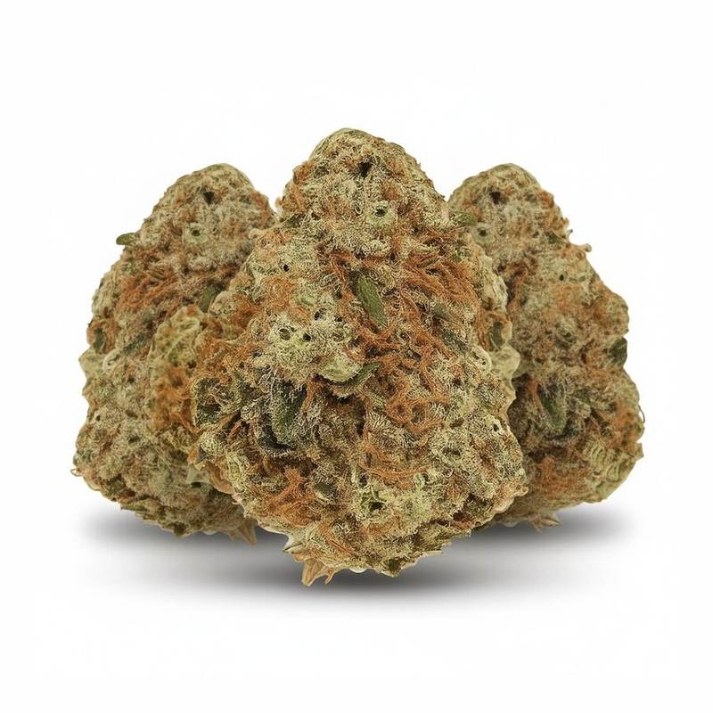 Lemon Skunk x 20,0% THC | Cannamedical – Bild 3