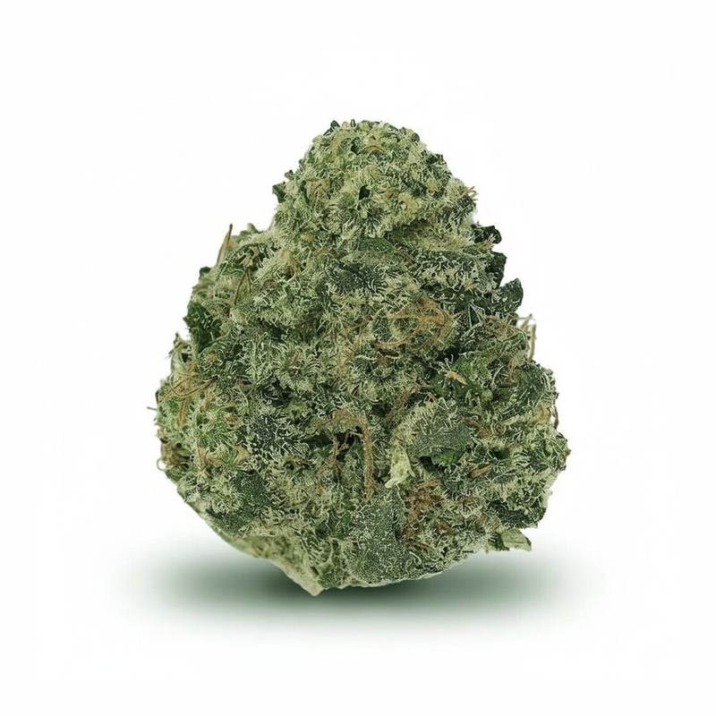 Libras x 11,0% THC | Cannamedical