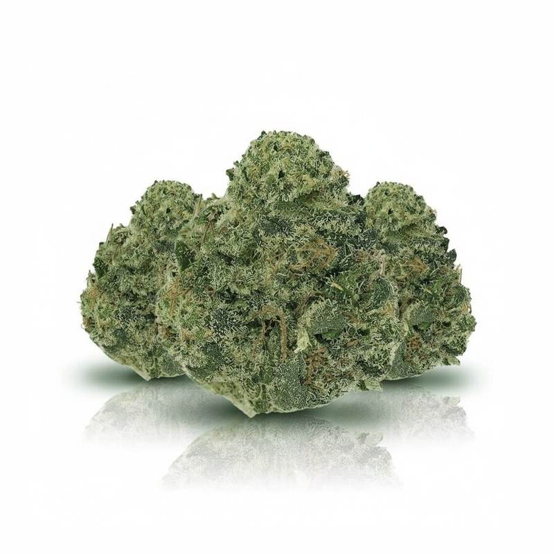 Libras x 11,0% THC | Cannamedical – Bild 3
