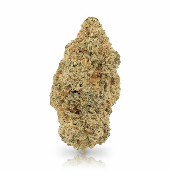MAC 2