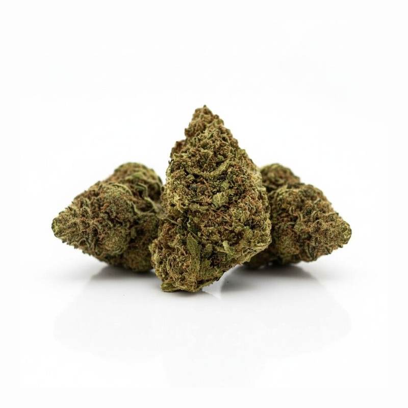 Mandarin Sunset x 21,0% THC | Demecan – Bild 3
