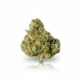 Modified Grapes x 27,0% THC | Four 20 Pharma