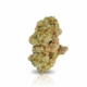 Ocean Grown Cookies x 29,0% THC | Avaay