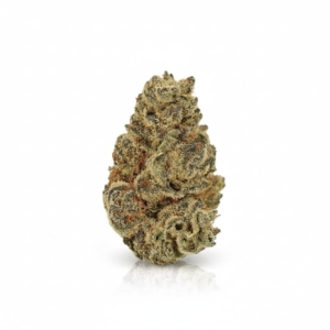 Orange Bud x 20,0% THC | Cannamedical