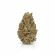 Orange Bud x 20,0% THC | Cannamedical