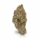 Orange Creampop 28%