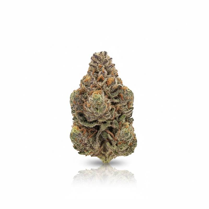 Orange Creampop x 24,0% THC | Cannamedical – Bild 2