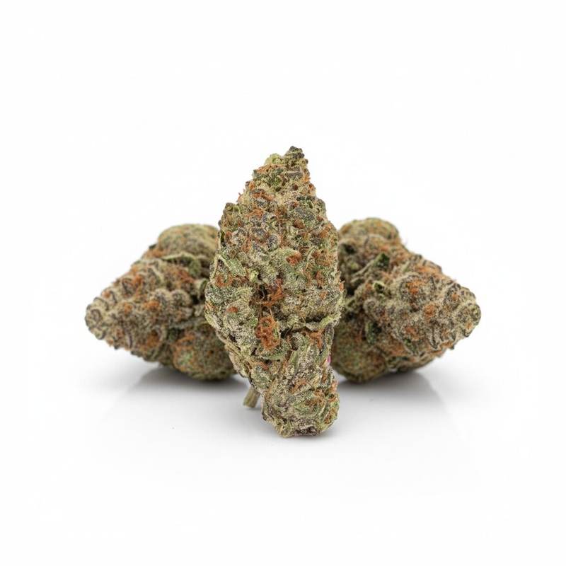 Orange Creampop x 24,0% THC | Cannamedical – Bild 3