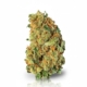 Panama x Bangi x 18,0% THC | ADREXpharma