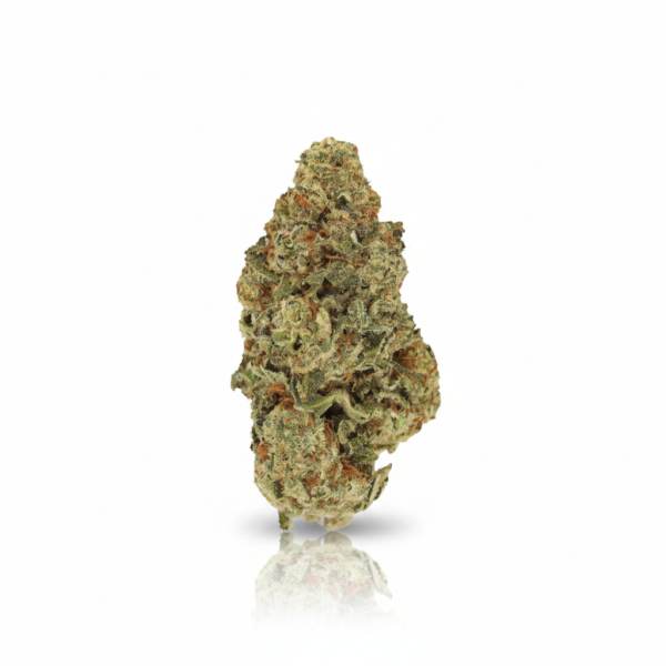 Papaya Boom
