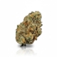 Peach Chementine x 27,0% THC | Four 20 Pharma