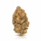 Permanent Marker x 22,0% THC | Demecan