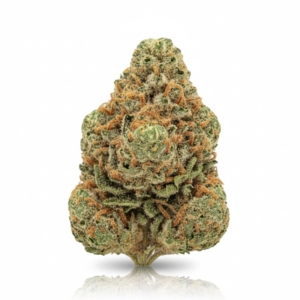 Pink Gelato x 20,0% THC | CannaZen