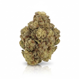 Pink Kush x 28,0% THC | CannaZen